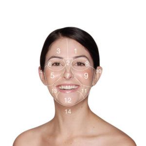 Dermalogica Facial Mapping