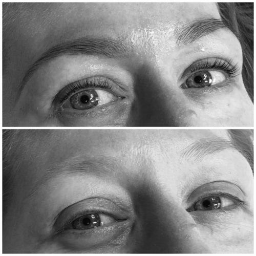 Brow Tinting and Waxing Training Turn Beautiful