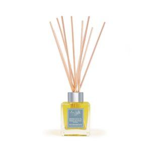 Eve Taylor Inspiration & Exhilaration Reed Diffuser